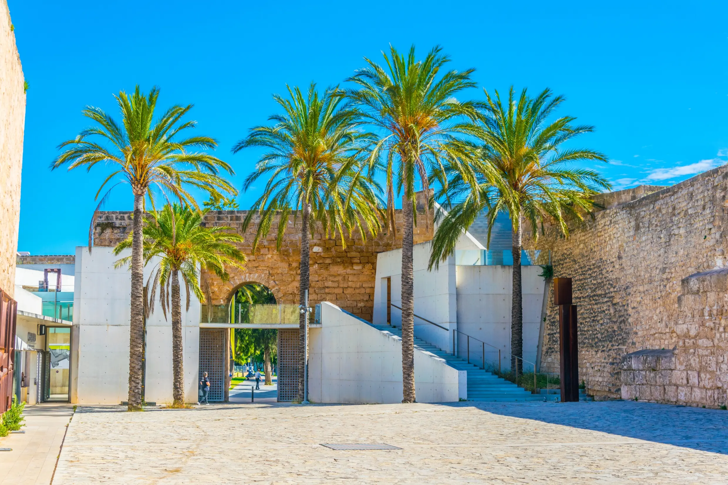 Los 9 mejores museos para descubrir el arte en Mallorca