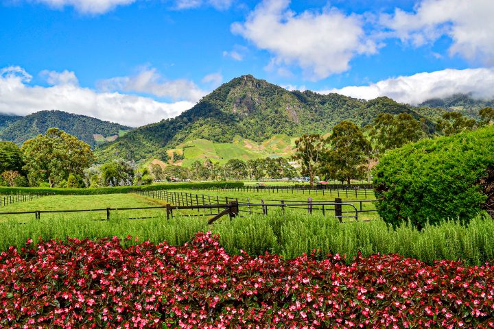 naturaleza en Chiquirí